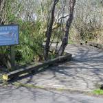 DAVE HAVILAND THE DAILY WORLD 
Entrance to the Sandpiper Trail on the Grays Harbor National Wildlife Refuge.