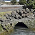 The culvert at the 28th Street boat launch where Fry Creek dumps into Grays Harbor. 	DAN HAMMOCK | THE DAILY WORLD