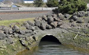 The culvert at the 28th Street boat launch where Fry Creek dumps into Grays Harbor. 	DAN HAMMOCK | THE DAILY WORLD