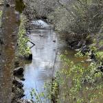 DAN HAMMOCK | THE DAILY WORLD
As plans continue for Fry Creek restoration, a new and improved pump station for the flood-prone creek between Aberdeen and Hoquiam could be constructed soon if $14 million in state capital budget funds survives final negotiations in the Legislature.