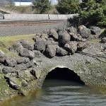 The culvert at the 28th Street boat launch where Fry Creek dumps into Grays Harbor. 	DAN HAMMOCK | THE DAILY WORLD