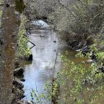 DAN HAMMOCK | THE DAILY WORLD
As plans continue for Fry Creek restoration, a new and improved pump station for the flood-prone creek between Aberdeen and Hoquiam could be constructed soon if $14 million in state capital budget funds survives final negotiations in the Legislature.