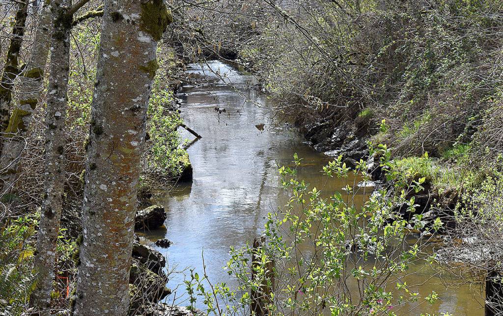 DAN HAMMOCK | THE DAILY WORLD
As plans continue for Fry Creek restoration, a new and improved pump station for the flood-prone creek between Aberdeen and Hoquiam could be constructed soon if $14 million in state capital budget funds survives final negotiations in the Legislature.