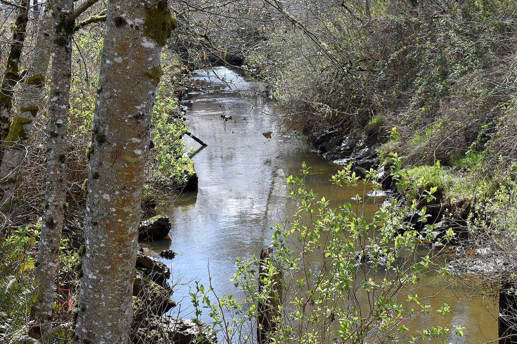 DAN HAMMOCK | THE DAILY WORLD
As plans continue for Fry Creek restoration, a new and improved pump station for the flood-prone creek between Aberdeen and Hoquiam could be constructed soon if $14 million in state capital budget funds survives final negotiations in the Legislature.