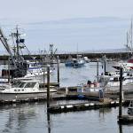 DAN HAMMOCK / THE DAILY WORLD 
Westport charter boats, many of which have been getting limits of lingcod and rockfish when the weather allows, are booking salmon trips for the upcoming season, set to begin June 19.