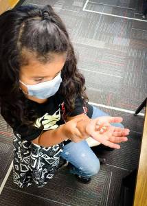 (Photo by North Beach School District) Pacific Beach Elementary student with butterfly.