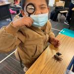 Photo by North Beach School District
Pacific Beach Elementary student with magnifying glass.