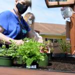 DAVE HAVILAND THE DAILY WORLD From left to right, Eldergrow Program Administrator Catherine Booth, Director of Therapy Bobbie Cheville, and Administrator and Marketing Director Stacie Leach.