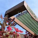 DAVE HAVILAND THE DAILY WORLD Eldergrow gardens feature a grow light and fan, and sit in a 6-inch bed on wheels that is at table height for residents of most capabilities.