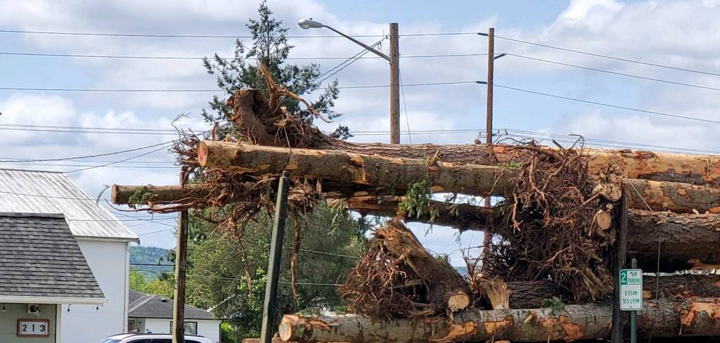 The over height load that snagged a line in downtown Montesano. Photo by Mark Cox