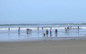 DAN HAMMOCK | THE DAILY WORLD 
Expect heavy traffic this holiday weekend on State Route 109, especially Friday and Sunday mornings with the final two razor clam digs of the season at Mocrocks Beach.