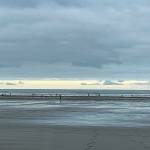 The view of razor clam diggers at Mocrocks Beach Wednesday, May 26. (Courtesy Kim Lynch)