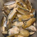 Courtesy Kim Lynch
The results of a May 26 razor clam dig at Mocrocks.