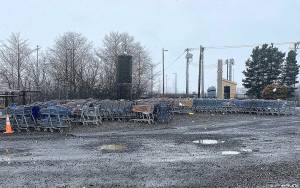 Shopping carts collected by the Aberdeen Public Works Department are taken to the wastewater treatment plant. City Code Enforcement contacts the shops that own the carts, who are expected to pick them up. (Courtesy Kellie Daniels)