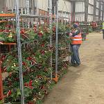 Courtesy Port of Grays Harbor 
Lynch Creek Farm, producer of custom wreaths, is expanding production at the Port of Grays Harbors Satsop Business Park.