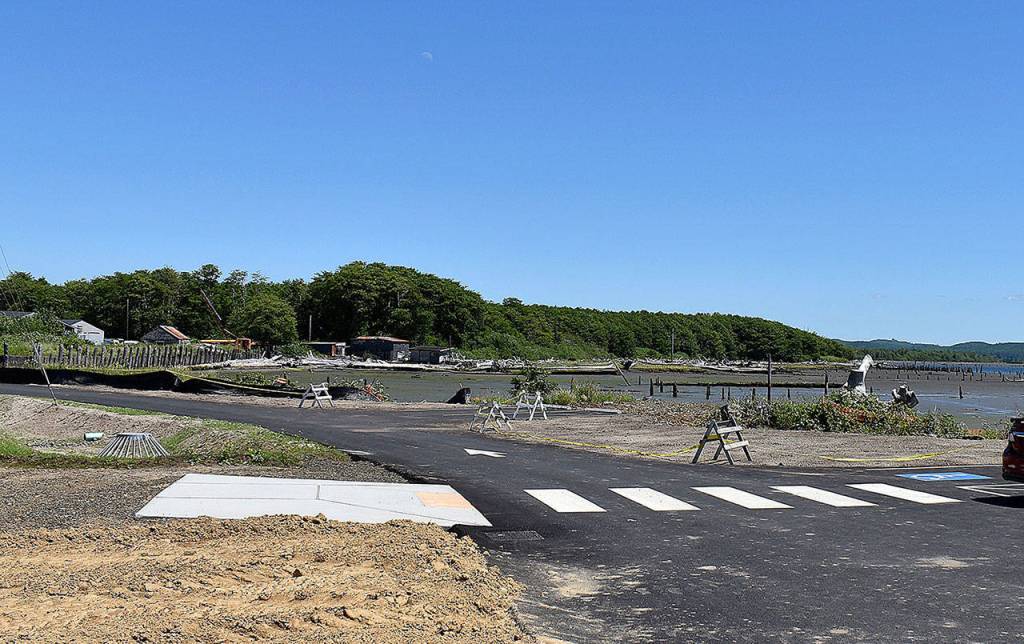 DAN HAMMOCK | THE DAILY WORLD 
The view from Hoquiams new waterfront park at Fifth and Adams before and after four clumps of alder trees were removed by the city after they were deemed hazards.