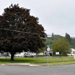 DAN HAMMOCK | THE DAILY WORLD 
A local group is proposing a park at this delta-shaped piece of property at Emerson Avenue and N and Maple streets in Hoquiam to honor Maj. Gen. Eldon Bargewell, a 1965 graduate of Hoquiam High School.