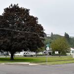 DAN HAMMOCK | THE DAILY WORLD 
A local group is proposing a park at this delta-shaped piece of property at Emerson Avenue and N and Maple streets in Hoquiam to honor Maj. Gen. Eldon Bargewell, a 1965 graduate of Hoquiam High School.
