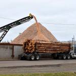 DAN HAMMOCK | THE DAILY WORLD 
The Port of Grays Harbor is a major cog in the countys, and regions economy. You have an extraordinary port that is an economic driver in the community, said Congressman Derek Kilmer at a Greater Grays Harbor Inc. economic review presentation Tuesday. A record 3.2 million metric tons of cargo was handled at the Port in 2020.