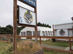 DAVE HAVILAND | THE DAILY WORLD 
Ocean Pours Taproom on Ocean Shores Boulevard NW.