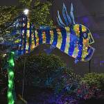 Courtesy Aberdeen Rain Glow Festival 
One of the colorful displays at the 2019 Aberdeen Rain Glow Festival, which drew more than 1,500 to downtown Aberdeen.