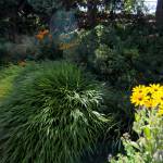 DAVE HAVILAND | THE DAILY WORLD The WSU Master Gardeners Demo Garden is ready to get Truckin Back to the Fair at the Grays Harbor County Fair