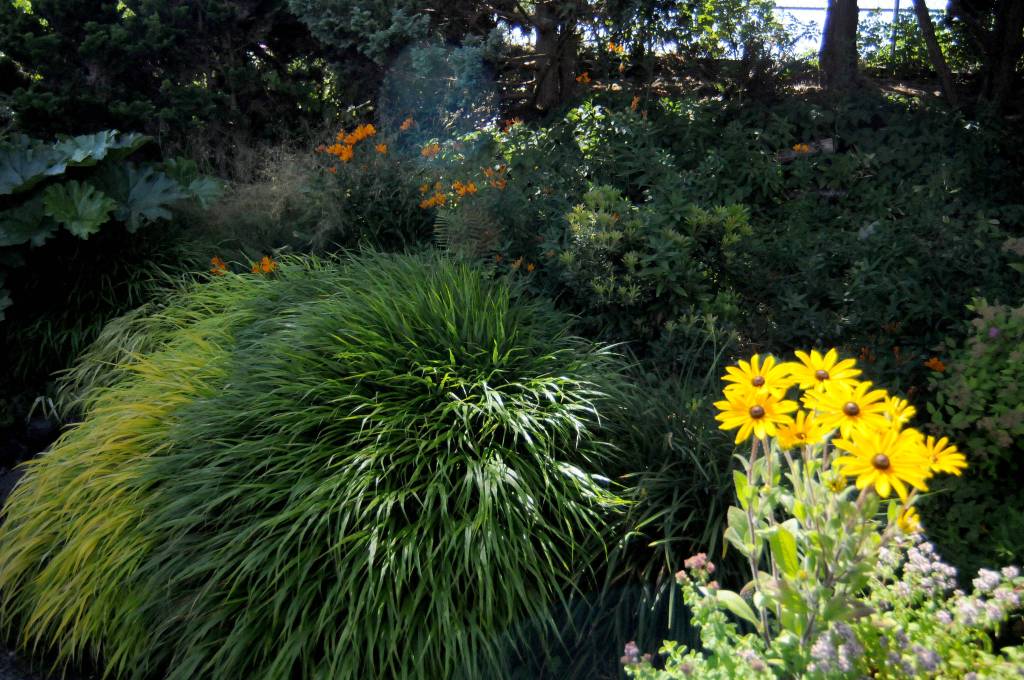 DAVE HAVILAND | THE DAILY WORLD The WSU Master Gardeners Demo Garden is ready to get Truckin Back to the Fair at the Grays Harbor County Fair