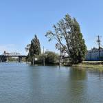 DAN HAMMOCK | THE DAILY WORLD 
The North Shore LeveeWest Segment would follow the west bank of the Hoquiam River from the north city limits south to the Simpson Avenue Bridge before winding west and then north to State Route 109.