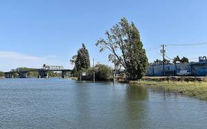 DAN HAMMOCK | THE DAILY WORLD 
The North Shore LeveeWest Segment would follow the west bank of the Hoquiam River from the north city limits south to the Simpson Avenue Bridge before winding west and then north to State Route 109.