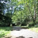 Hole No. 6 of a proposed disc golf course at Makarenko Park in Cosmopolis is tentatively located near mile marker seven. 	RYAN SPARKS | THE DAILY WORLD