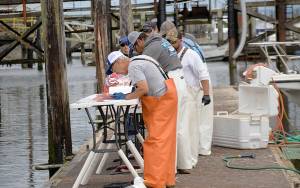 DAN HAMMOCK | THE DAILY WORLD 
Volunteers with the Mission Outdoors Washington Tuna Classic filet the days catch in the Westport boat basin. The year this photo was taken, 2019, the tournament donated close to 10,000 pounds of tuna for local food banks.