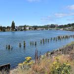 DAN HAMMOCK | THE DAILY WORLD 
The North Shore Levee will run along the east bank of the Hoquiam River, on the right in this photo. The North Shore Levee West Segment will run along the west bank along Levee Street.
