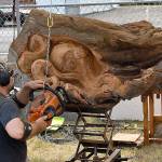 DAN HAMMOCK | THE DAILY WORLD 
Jeffrey Michael Samudosky of JMS Wood Sculpture works on an octopus piece at the Tokeland Woodfest Saturday.