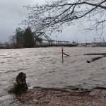 High water on the Wishkah River in 2018. (Courtesy City of Aberdeen)
