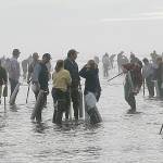 Courtesy of Department of Fish and Wildlife 
Nine straight days of razor clam digging at select beaches begins Sept. 17, 2021. High populations have allowed the limit to be raised from 15 to 20.