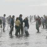 Courtesy of Department of Fish and Wildlife 
Nine straight days of razor clam digging at select beaches begins Sept. 17, 2021. High populations have allowed the limit to be raised from 15 to 20.