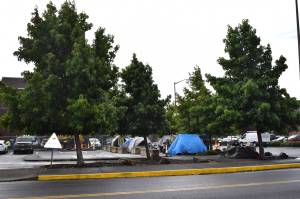 DAN HAMMOCK | THE DAILY WORLD
More tents have been coming into the homeless tent camp adjacent to Aberdeen City Hall in the months since its apparent closure in July.
