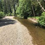 photo by Department of Ecology
Low water conditions in 2019 on the Salmon River, a tributary of the Queets River, were similar to the dry year of 2021.