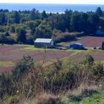 daily world File photo 
Its cranberry harvest time in the bogs along the South Beach, and the annual Cranberry Harvest Festival celebrates the season Oct. 9-10.
