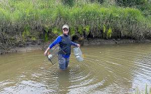 photo by Craig Zora 
Twin Harbors Waterkeeper Lee First collects a European green crab trap after an overnight set in South Aberdeen.