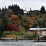 DAN HAMMOCK | THE DAILY WORLD 
Fall colors are busting out all over the Harbor, a welcome sight to many after a long, hot and dry summer. This photo was taken from the end of Karr Avenue looking east across the Hoquiam River on Tuesday, Oct. 19, 2021.