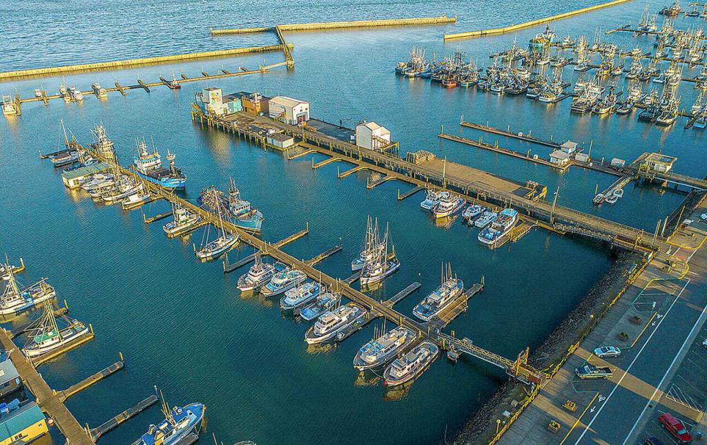 Courtesy of Port of Grays Harbor 
The Port of Grays Harbor has received a $50,000 grant for its Westport Marina Modernization Project Plan.