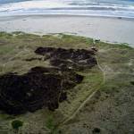 Flammable vegetation in the Pacific Dunes poses a threat to nearby residential properties and hotels. Photo courtesy of Ocean Shores Fire Department