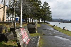 A graffitied bench, which sits alongside the East Aberdeen Waterfront Walkway facing the Chehalis River, falls victim to the increased instances of vandalism in the Aberdeen Landing area.
