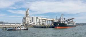 photo by marc sterling | File Photo 
Terminal 2 at the Port of Grays Harbor. Ag Processing Inc. plans to build additional storage at its existing facility at the terminal.