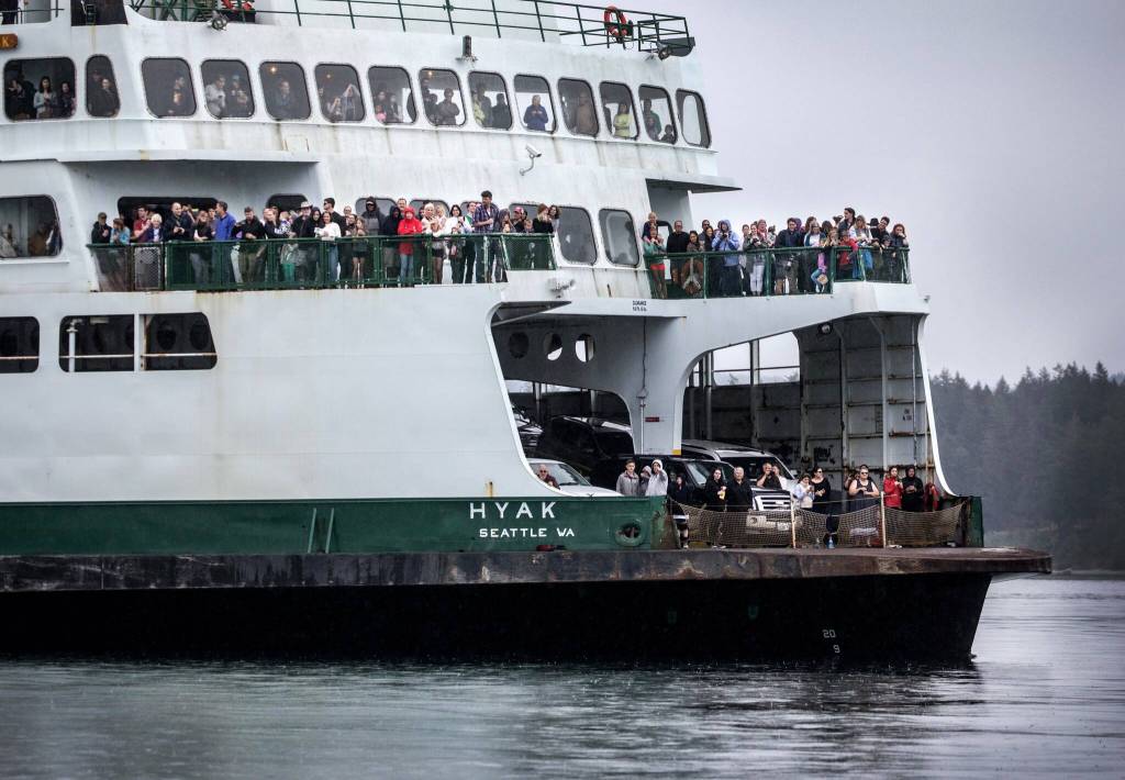 Steve Ringman | The Seattle Times | TNS | File Photo
Orca whales thrill travelers on a Washington State ferry hoping to catch a glimpse.