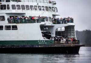 Steve Ringman | The Seattle Times | TNS | File Photo
Orca whales thrill travelers on a Washington State ferry hoping to catch a glimpse.