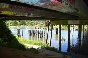 Matthew N. Wells | The Daily World
The view from under Young Street Bridge shows where part of the North Shore Levee will be built to protect residents from Wishkah River flooding in north Aberdeen. The signs black letters say it all From the muddy banks of the Wishkah.