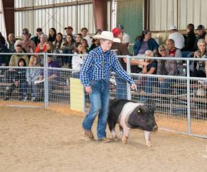 Photo Courtesy of GHYLA
Students participating in 4-H and FFA livestock programs will have the opportunity to showcase their animals to be bid on at the 2022 Grays Harbor Youth Livestock Auction on Aug. 13, 2022, in Elma. All money raised goes back to students for their own use.