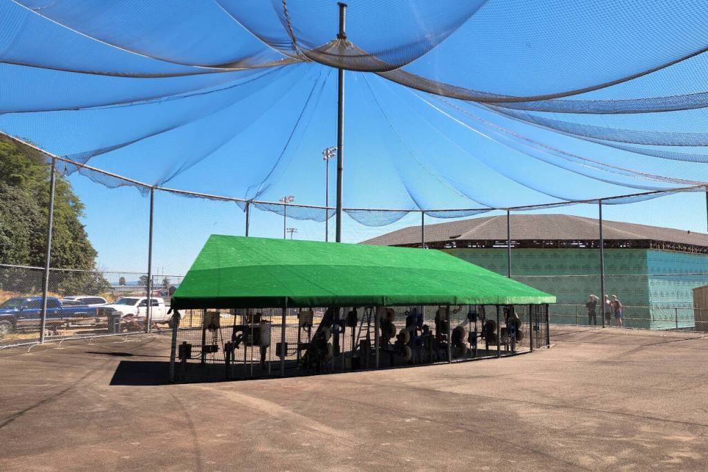 RYAN SPARKS | THE DAILY WORLD Mr. Ts Bat-O-Rama featured several new upgrades, including multiple televisions and a seating area in the clubhouse, internet access and new turf on the pitching machine roof (pictured).